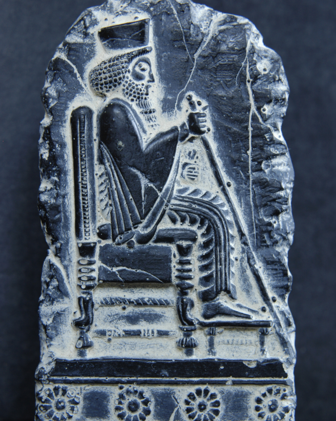 Train Like a Warrior, Eat Like a King – The Cyrus Principle